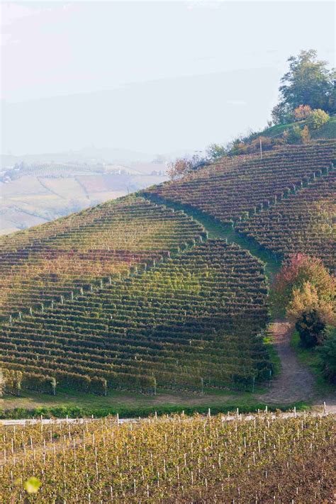 Weingut Riehen in Riehen